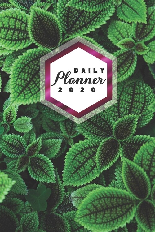 Daily Planner 2020: Green Nature 52 Weeks 365 Day Daily Planner for Year 2020 6x9 Everyday Organizer Monday to Sunday Life Plan Academic S (Paperback)