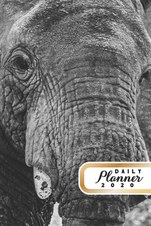 Daily Planner 2020: Elephant Lover 52 Weeks 365 Day Daily Planner for Year 2020 6x9 Everyday Organizer Monday to Sunday Africa Big Animal (Paperback)