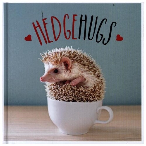 Hedgehugs : A Spike-Tacular Celebration of the Worlds Cutest Hedgehogs (Hardcover)