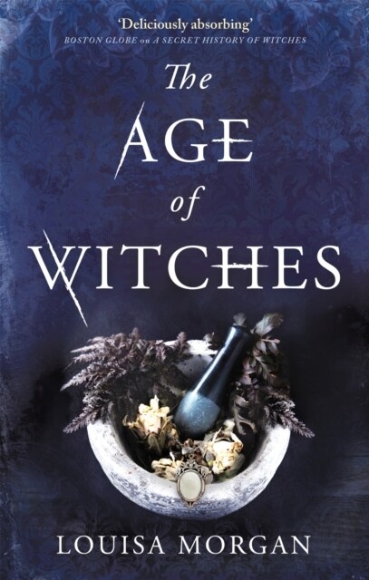 The Age of Witches (Paperback)