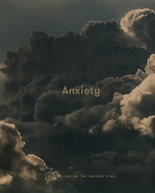 Anxiety : Meditations on the Anxious Mind (Hardcover)