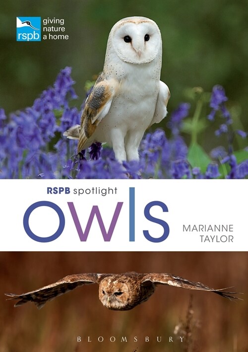 RSPB Spotlight Owls (Paperback)