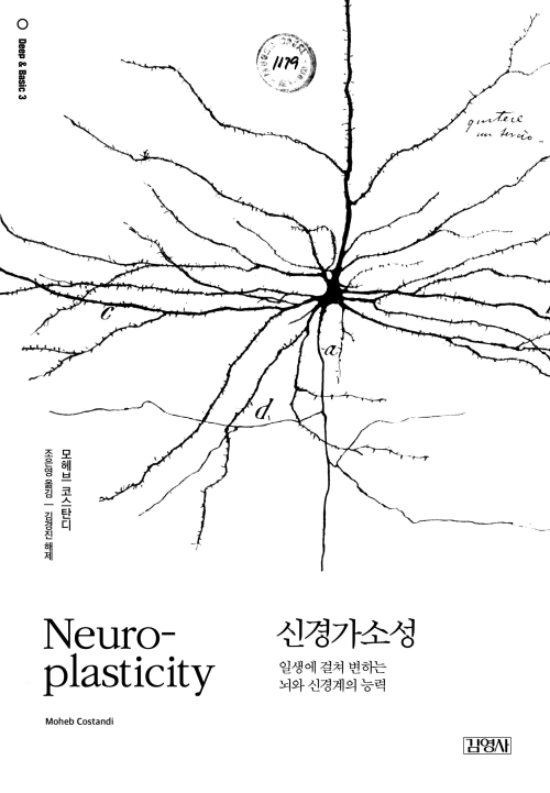 신경가소성