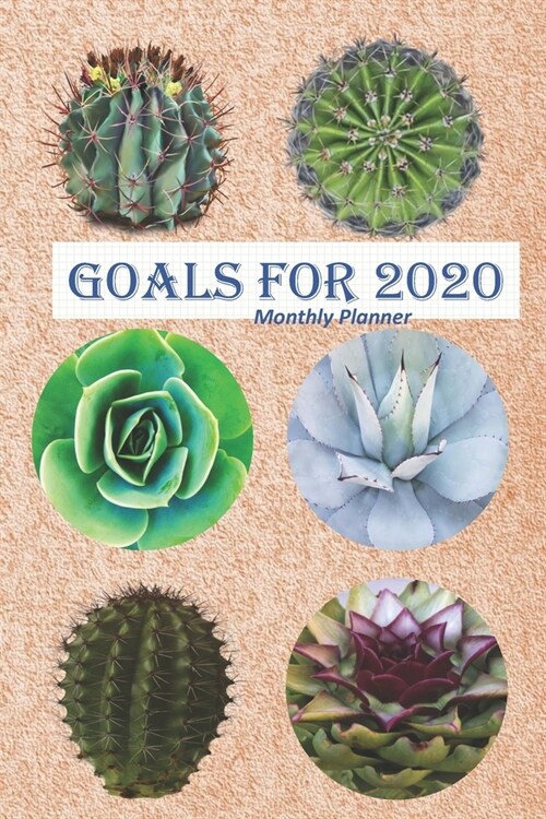 Goals for 2020: Monthly Planner (Paperback)
