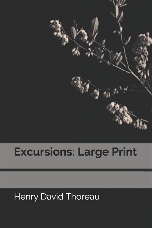 Excursions: Large Print (Paperback)