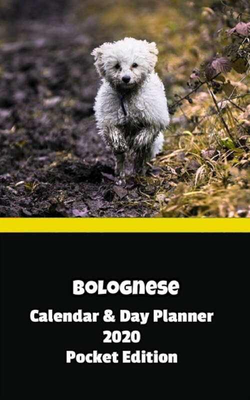 Bolognese Calendar & Day Planner 2020 Pocket Edition (Paperback)