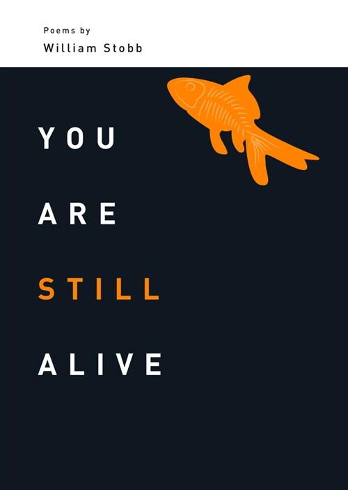 You Are Still Alive (Paperback)