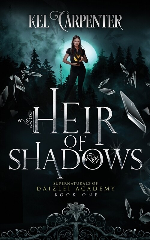 Heir of Shadows: A YA+ Academy Fantasy (Paperback, 2)