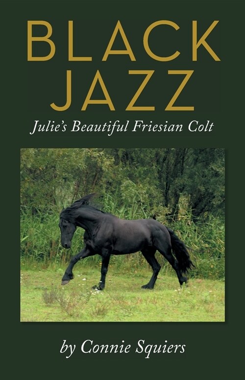 Black Jazz: Julies Beautiful Friesian Colt (Paperback)