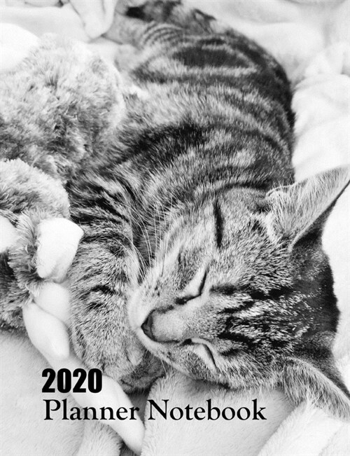 2020 Planner Notebook: Tabby Cat Planner Book With Monthly and Weekly Calendars, Monthly Budget Sheet and Weekly Meal Plan (Paperback)