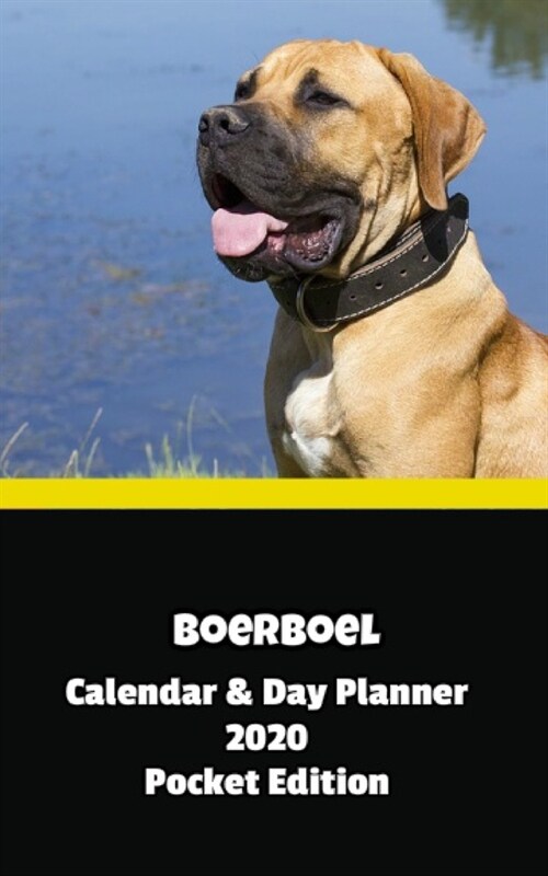 Boerboel Calendar & Day Planner 2020 Pocket Edition (Paperback)