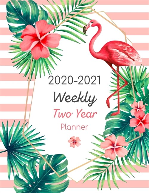 2020-2021 Weekly Two Year Planner: Weekly Planner Organizer - 2020-2021 Planner Jan 2020 - Dec 2021 2 year Daily Weekly Monthly - Calendar Planner - D (Paperback)