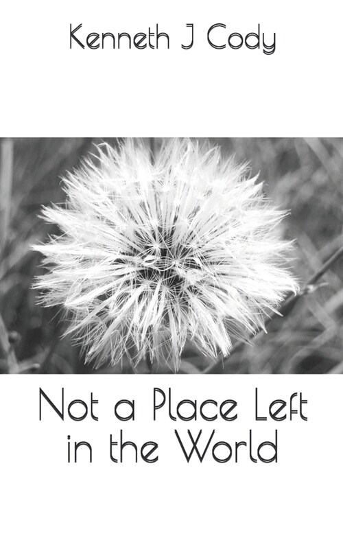 Not a Place Left in the World (Paperback)