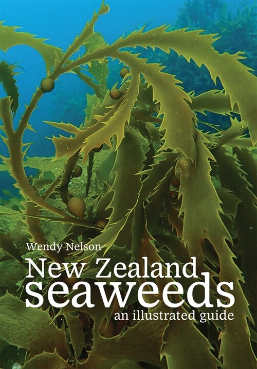 New Zealand Seaweeds: An Illustrated Guide (Paperback, 2)
