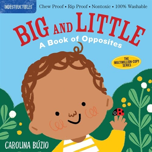 Indestructibles: Big and Little: A Book of Opposites: Chew Proof - Rip Proof - Nontoxic - 100% Washable (Book for Babies, Newborn Books, Safe to Chew) (Paperback)