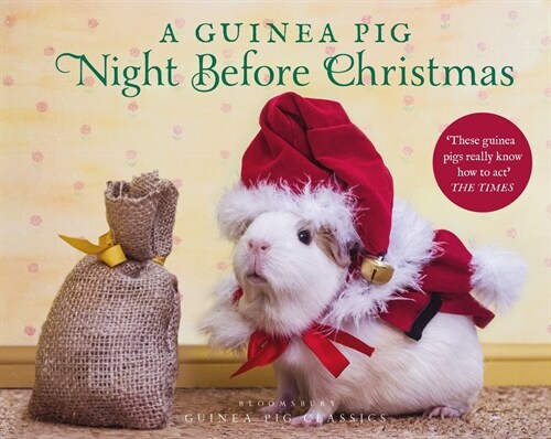 A Guinea Pig Night Before Christmas (Hardcover)