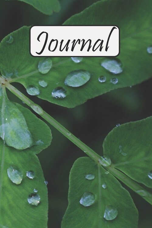 Journal: Lined Pages Notebook / Diary - 6x9 inches (DIN 5), 100 Pages (Paperback)