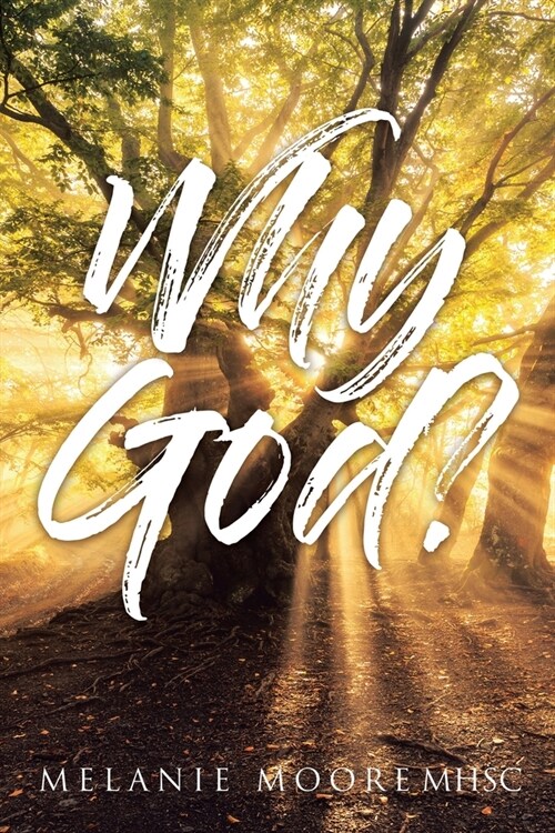 Why God? (Paperback)