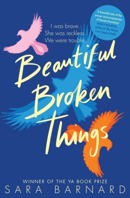 Beautiful Broken Things (Paperback)