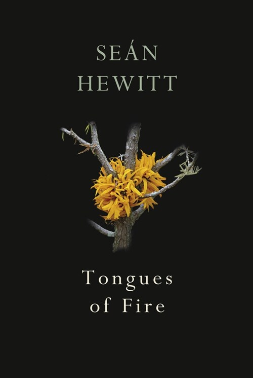 Tongues of Fire (Paperback)