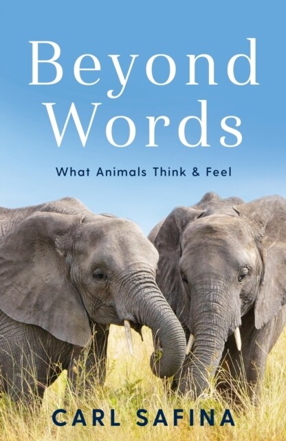 Beyond Words : What Animals Think and Feel (Paperback, Main)