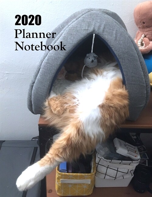 2020 Planner Notebook: Orange Tabby Cat Planner Book With Monthly and Weekly Calendars, Monthly Budget Sheet and Weekly Meal Plan (Paperback)
