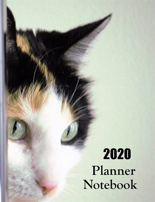 2020 Planner Notebook: Calico Cat Planner Book With Monthly and Weekly Calendars, Monthly Budget Sheet and Weekly Meal Plan (Paperback)