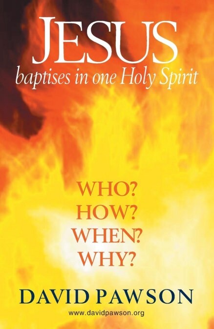 Jesus Baptises in one Holy Spirit (Paperback)