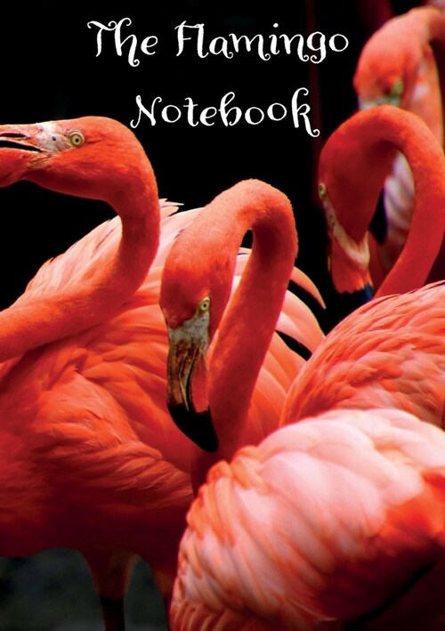 Flamingo A5 Notebook/Journal (Paperback)