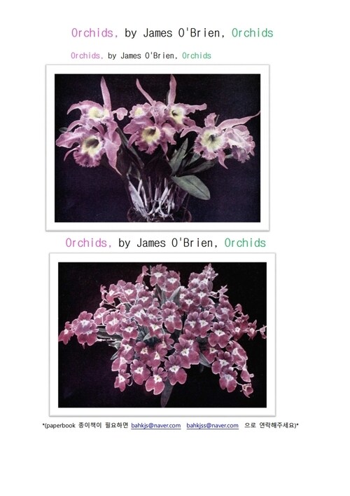 서양난 난초 (Orchids, by James O'Brien) 커버