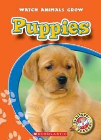 Puppies (Library)