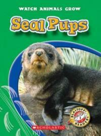 Seal Pups (Library)