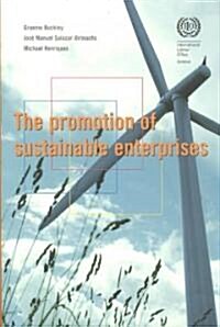 The Promotion of Sustainable Enterprises (Paperback)