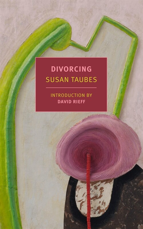 Divorcing (Paperback)