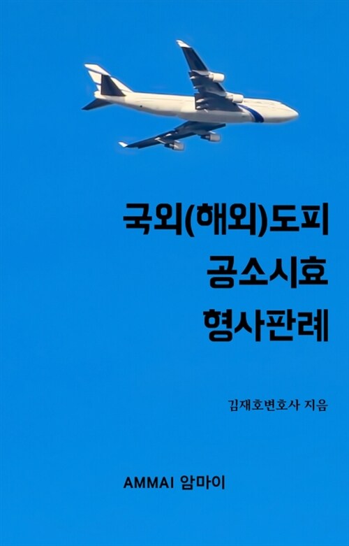 국외(해외)도피 공소시효 형사판례