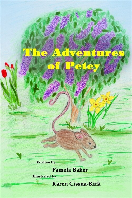 The Adventures of Petey (Paperback)