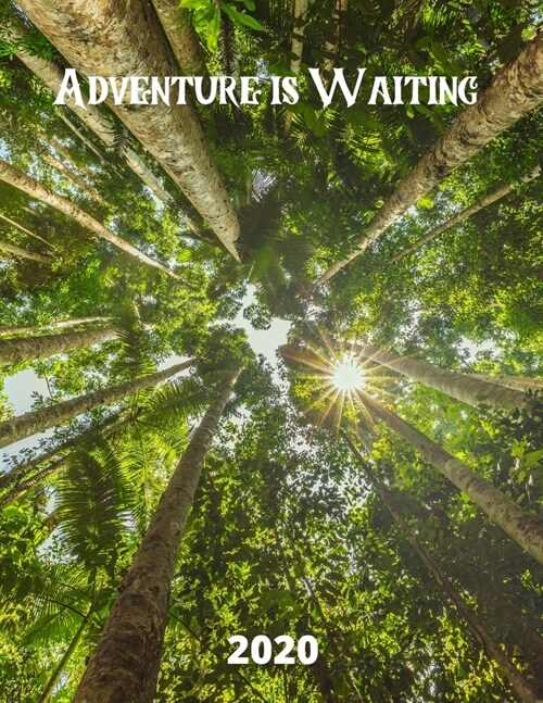 Adventure is Waiting 2020: 2020 Weekly Planner, 8.5x11 inches, January 1, 2020 to December 31, 2020, Calendar & Travel Planner (Paperback)