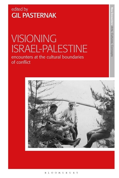 Visioning Israel-Palestine : Encounters at the Cultural Boundaries of Conflict (Hardcover)