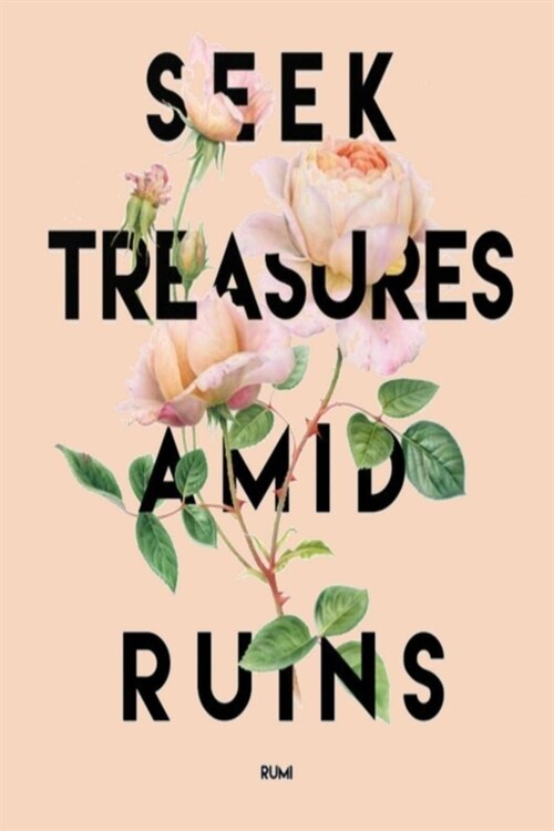 Seek Treasures Amid Ruins Rumi: A Gratitude Journal to Win Your Day Every Day, 6X9 inches, Inspiring Quote on Peach matte cover, 111 pages (Growth Min (Paperback)