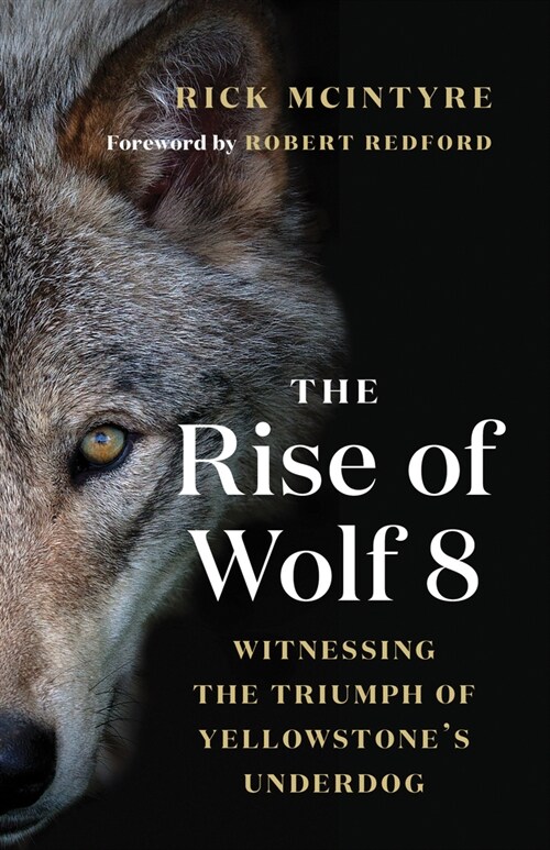 The Rise of Wolf 8: Witnessing the Triumph of Yellowstones Underdog (Paperback)
