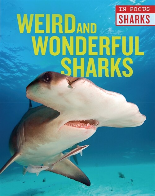 Weird and Wonderful Sharks (Library Binding)