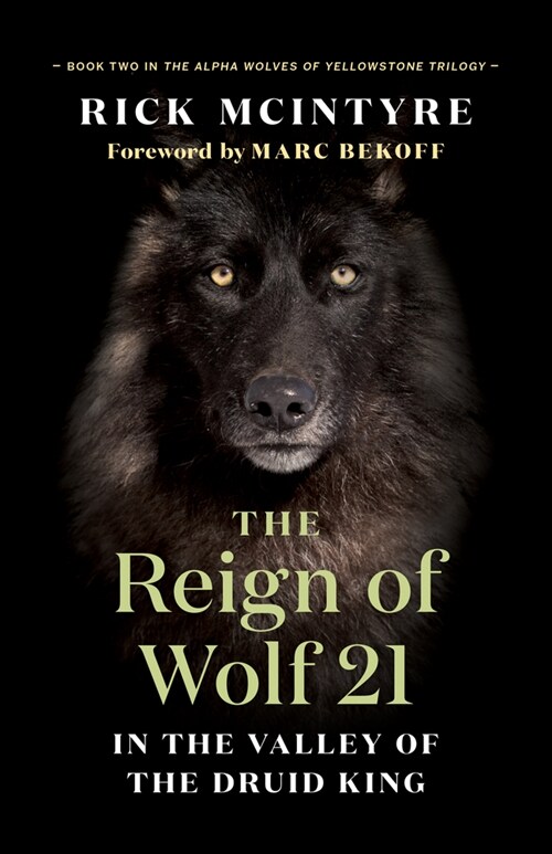 The Reign of Wolf 21: The Saga of Yellowstones Legendary Druid Pack (Hardcover)