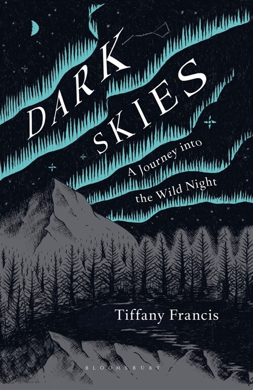 Dark Skies : A Journey into the Wild Night (Paperback)