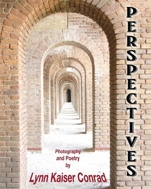 Perspectives (Paperback)