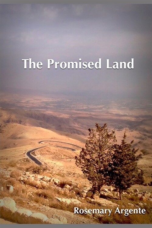 The Promised Land: Companion to The Veil (Paperback)