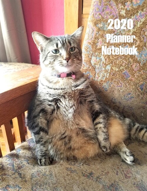 2020 Planner Notebook: Funny Cat Planner Book With Monthly and Weekly Calendars, Monthly Habit Tracker, Vision Board and Brain Dump Sheets (Paperback)