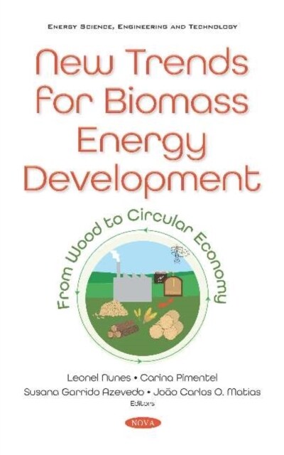 New Trends for Biomass Energy Development : From Wood to Circular Economy (Hardcover)
