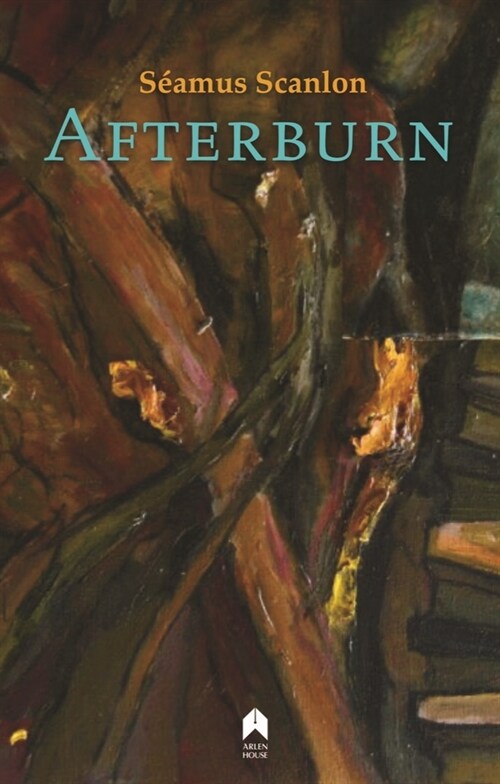 Afterburn (Paperback)