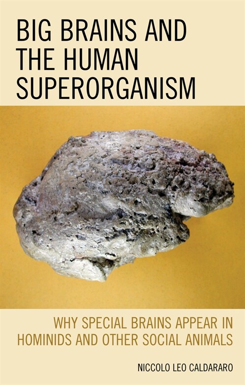 Big Brains and the Human Superorganism: Why Special Brains Appear in Hominids and Other Social Animals (Paperback)