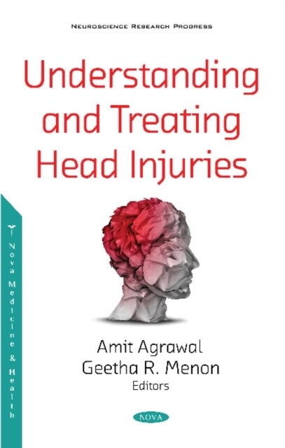 Understanding and Treating Head Injuries (Paperback)